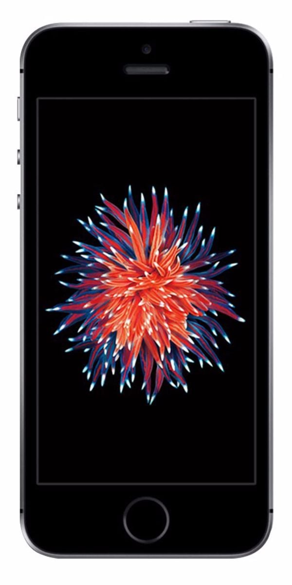 Refurbished iPhone SE 32GB Zwart Voorkant